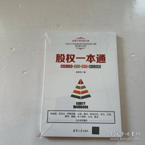 股权一本通：股权分配+激励+融资+转让实操