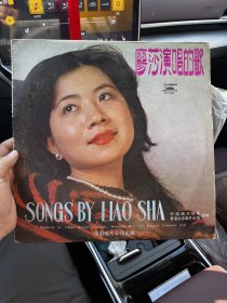 33轉(zhuǎn)黑膠大唱片廖莎演唱的歌