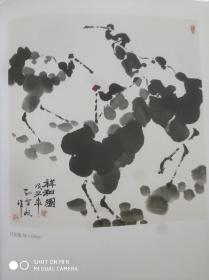 中国当代实力派画家 孙智敏画集