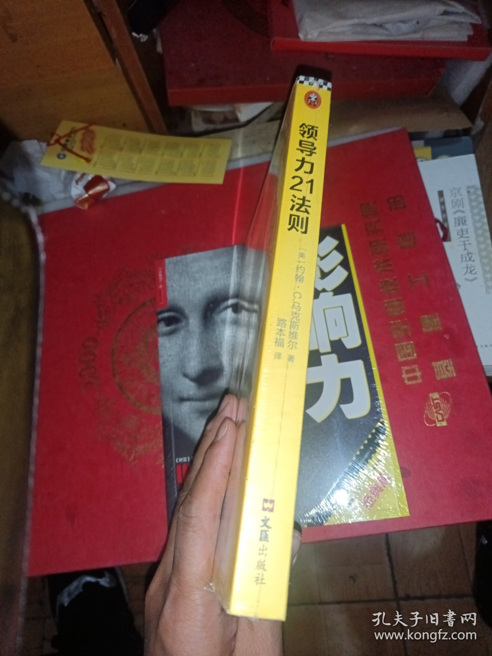 领导力21法则：追随这些法则，人们就会追随你