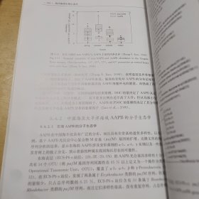 海洋微型生物生态学