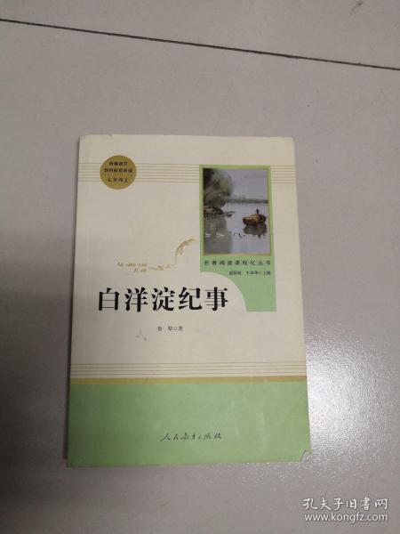 白洋淀纪事 名著阅读课程化丛书（统编语文教材配套阅读）七年级上