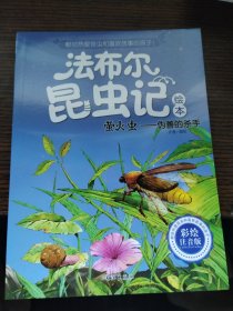 绘本法布尔昆虫记：萤火虫 伪善的杀手（彩绘注音版）