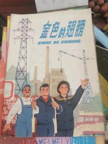 彩色连环画 金色的翅膀 (上海发电厂建设的故事)1976年一版一印