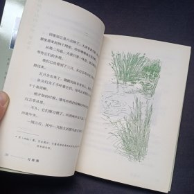 椋鸠十动物小说 爱藏本：月轮熊