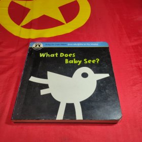 WhatDoesBabySee(BeginSmart)[Boardbook]