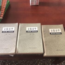金陵春梦.第四集.血肉长城.