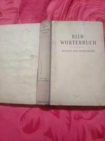 blld worterbuch   deutsch  tschechisch德语和捷克语（一页一图，带彩页，极少）