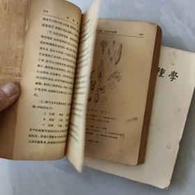 作物育种学（上下）中华民国三十五年初版