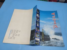 成功的足迹(69页)