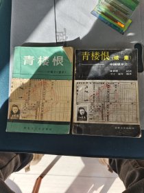 青楼恨望乡及 续集