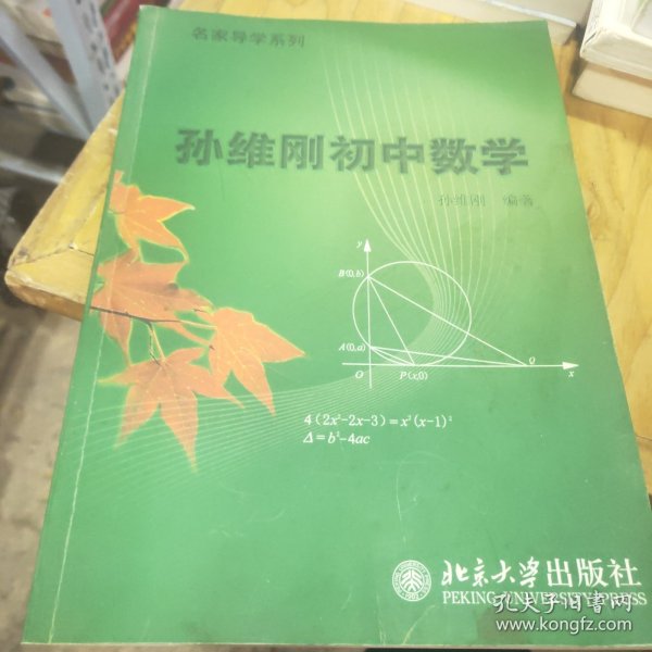 孙维刚初中数学