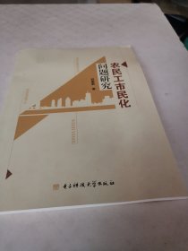 农民工市民化问题研究（16开）