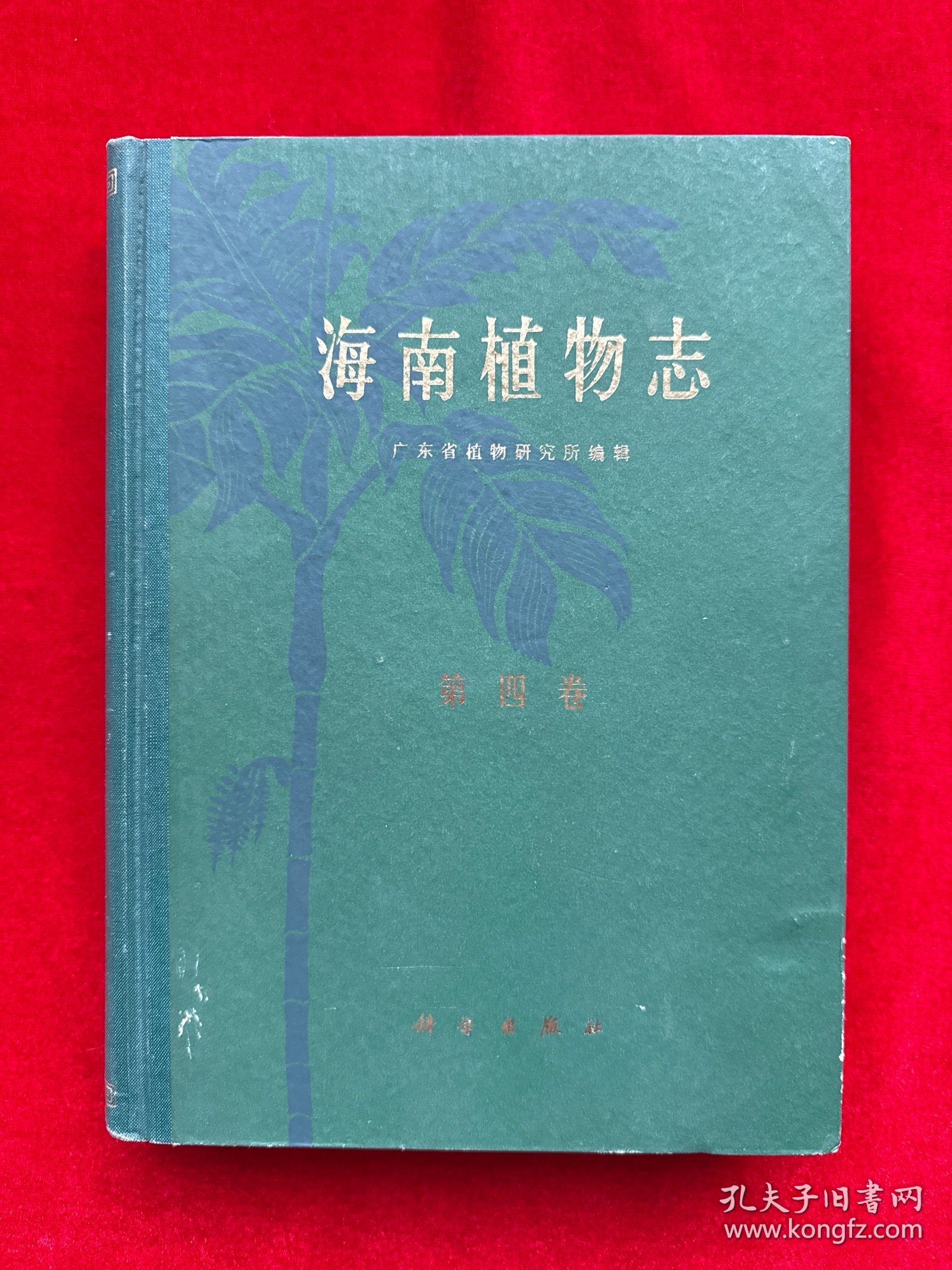 海南植物志（第四卷）精装