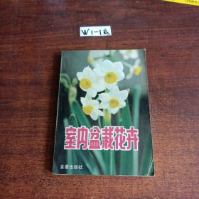 室内盆栽花卉