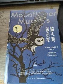 猫头鹰谋杀案一本