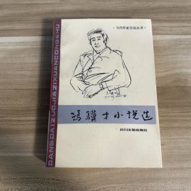 冯冀才小说选