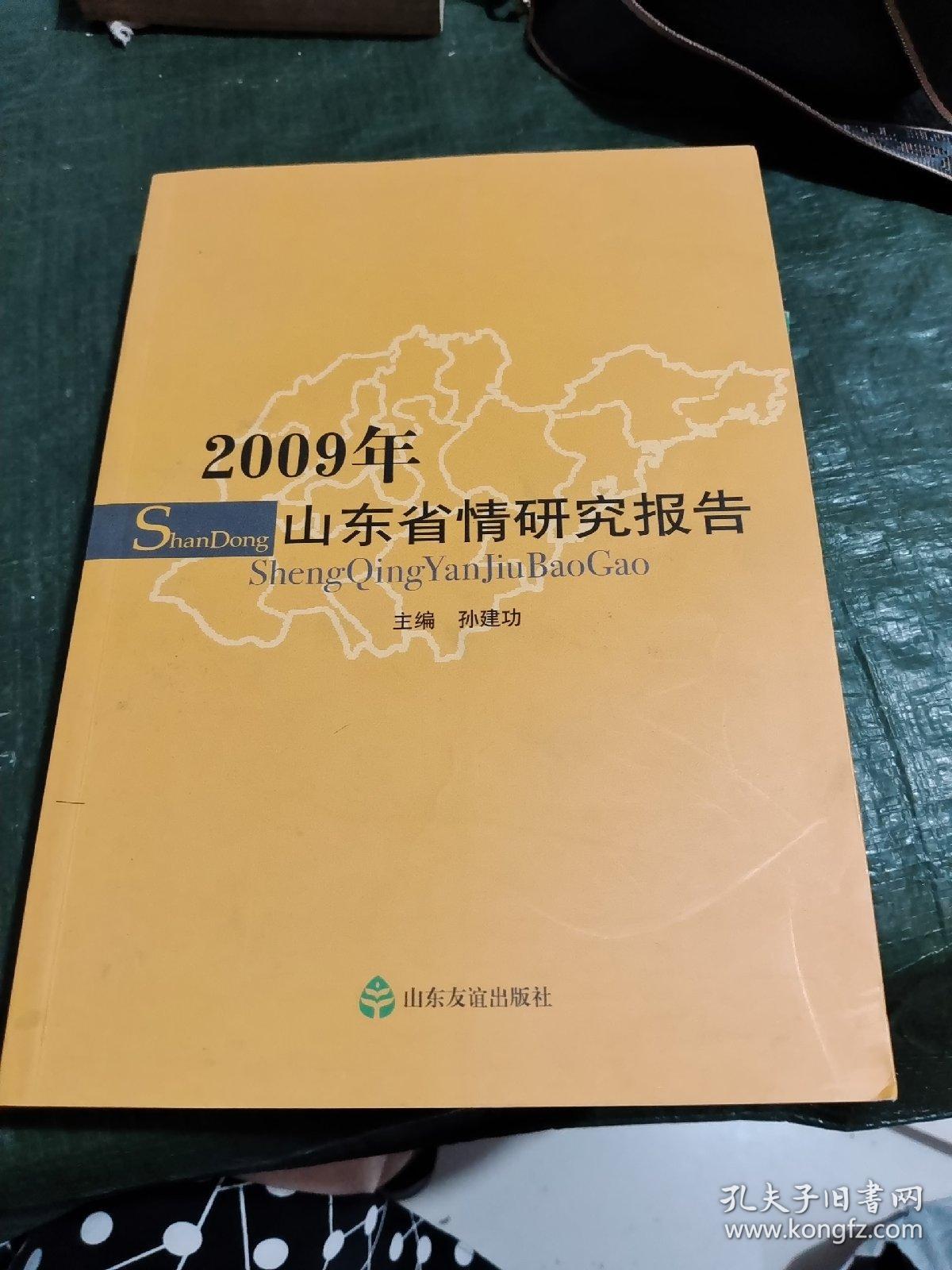2009年山东省情研究报告/CF5-4