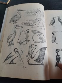 动物画