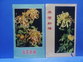 50年代菊花贺卡小画片2张