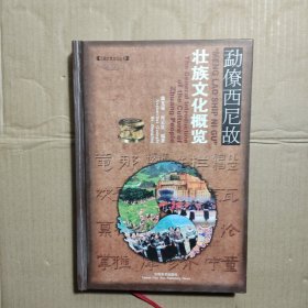勐僚西尼故:壮族文化概览