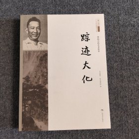 北京画院学术丛书·傅抱石的艺术世界：踪迹大化