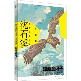 雄鹰金闪子 儿童文学 沈石溪