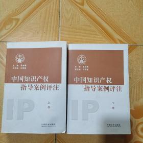 中国知识产权指导案例评注上下卷