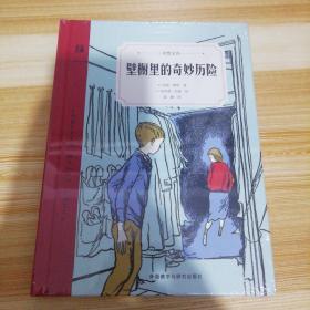 壁橱里的奇妙历险（奇想文库）