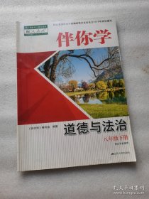 (正版)伴你学 道德与法治 八8年级 下册人教版江苏省使用 [《伴你学》编写组, 编著]