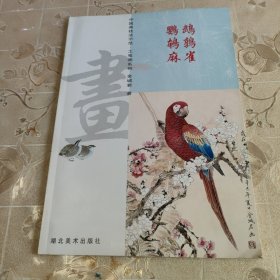 鹦鹉鹌鹑麻雀 中国画技法示范工笔画系列