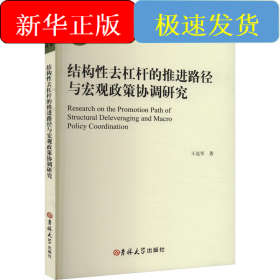 结构性去杠杆的推进路径与宏观政策协调研究