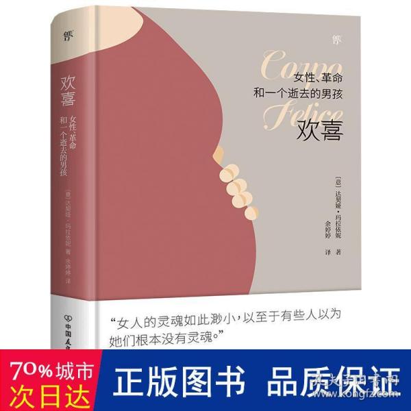 欢喜：女性、革命和一个逝去的男孩（诺贝尔文学奖热门提名作家女性主义作品）