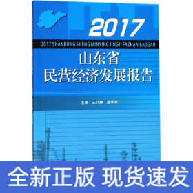 2017山东省民营经济发展报告