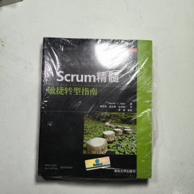 Scrum精髓：敏捷转型指南