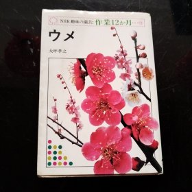 （日文原版）ウメ梅花 NHK兴趣园艺：工作12 月