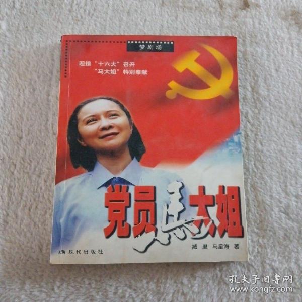 党员马大姐