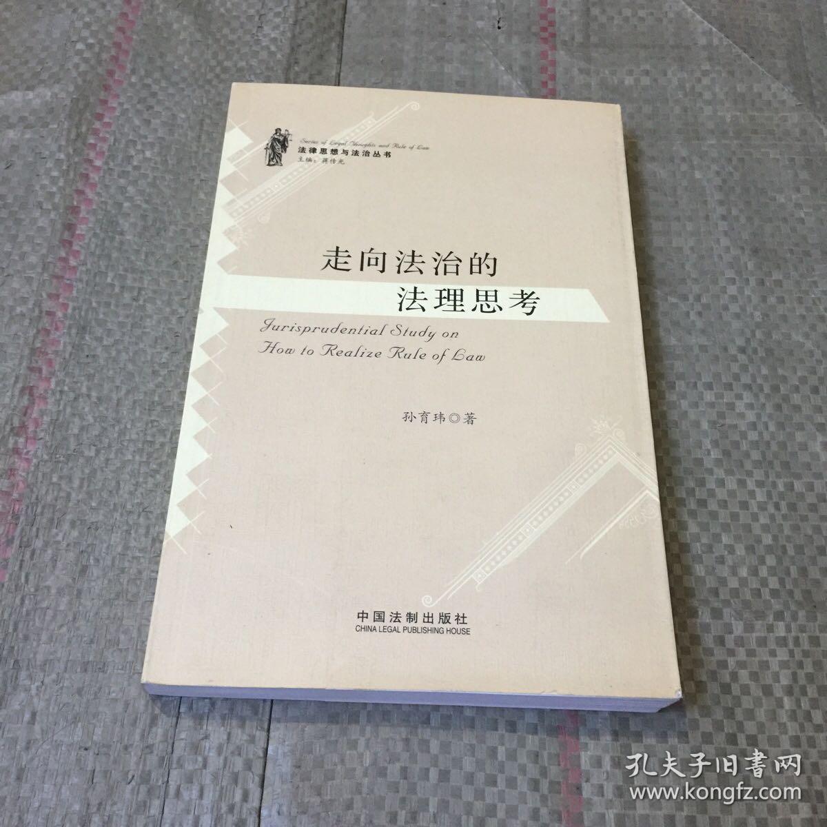 法律思想与法治丛书：走向法治的法理思考