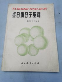 蛋白质分子基础