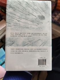 逍遥游（《冬泳》作者班宇最新作品，同名小说列收获文学排行榜短篇榜首）