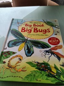 BigBookOfBigBugs