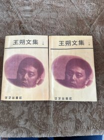 王朔文集（上下册）