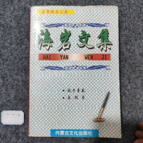 海岩文集