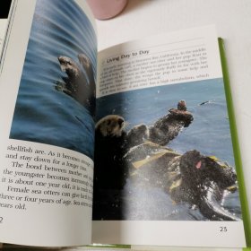 英文原版Jane Goodalls Animal World Sea Otters珍·古道尔斯:动物世界海獭