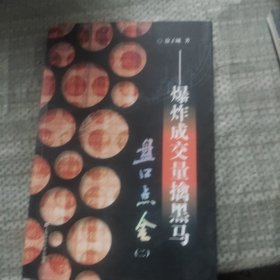 盘口点金2：爆炸成交量擒黑马