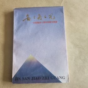 金三角之光(东胜建市十周年回顾与展望)