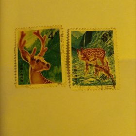 邮票1980 T52 梅花鹿 信销票2张