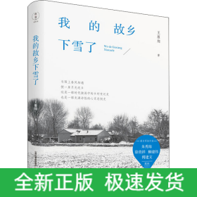 我的故乡下雪了