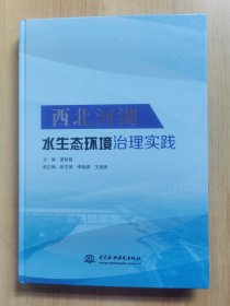 西北河湖水生态环境治理实践