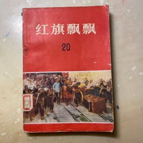 红旗飘飘（20）